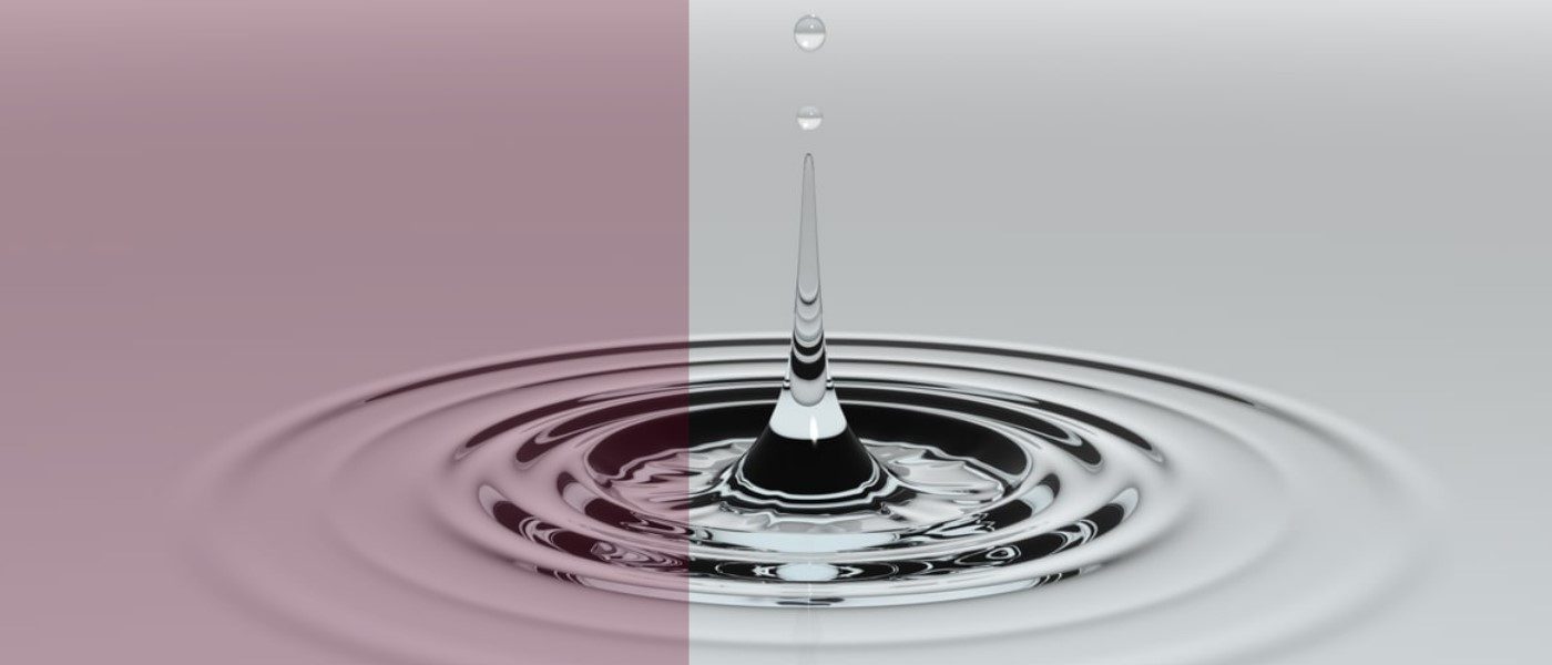 Finance/ Property Broking Firm Carlton